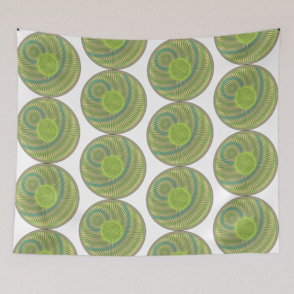 Item preview, Diatom - Fascinorbis illustris (artwork) designed and sold by DiatomsATTACK.