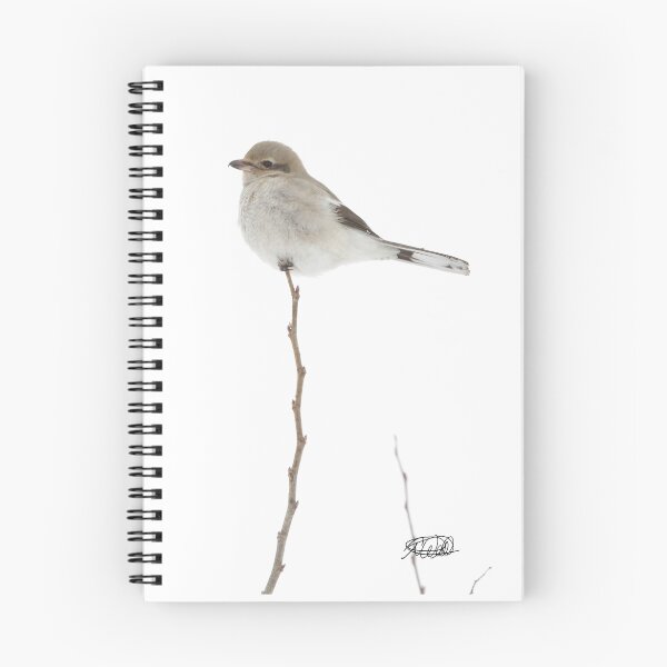 Item preview, Shrike (on a stick) designed and sold by TCW Studios.
