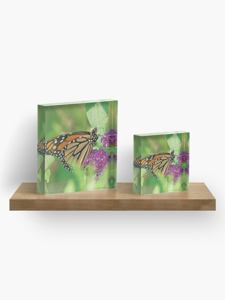 Alternate view of Monarch Butterfly on Butterfly Bush Acrylic Block
