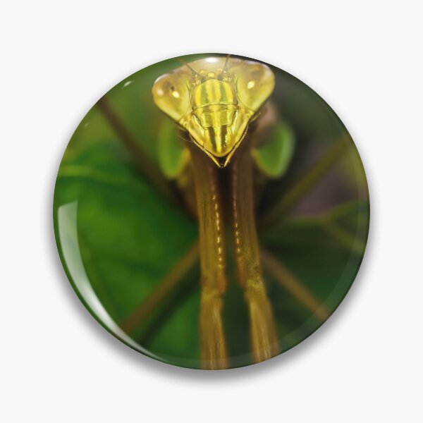 Item preview,  Green Chinese Mantis Macro closeup leaves 6 designed and sold by Frank Soos.