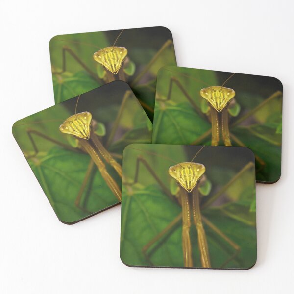 Item preview,  Green Chinese Mantis Macro closeup leaves 6 designed and sold by Frank Soos.
