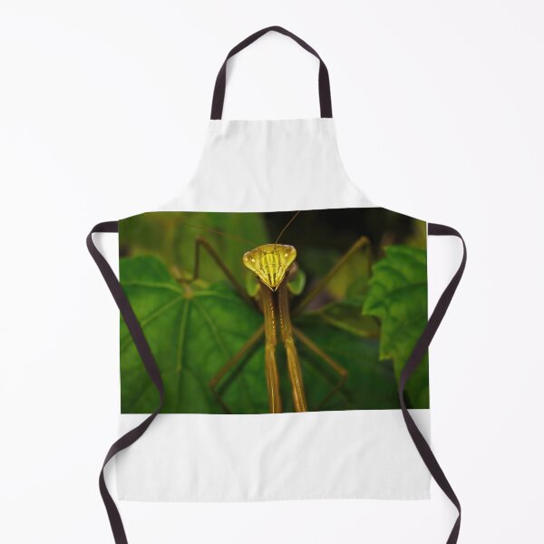 Item preview, Green Chinese Mantis Macro closeup leaves 6 designed and sold by Frank Soos.