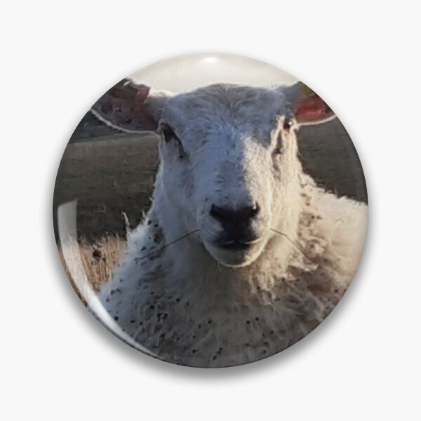 Item preview, Sheep on the southdowns designed and sold by Emma  Amies.