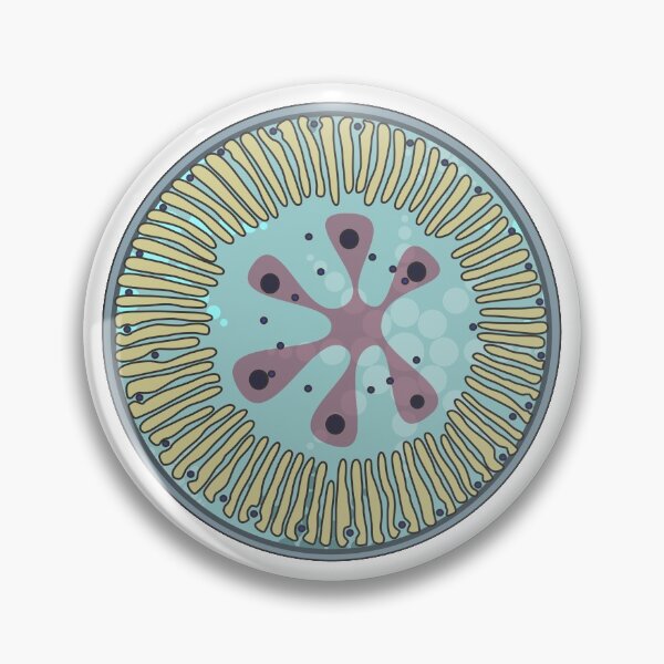 Item preview, Diatom - Lindavia ocellata (artwork) designed and sold by DiatomsATTACK.
