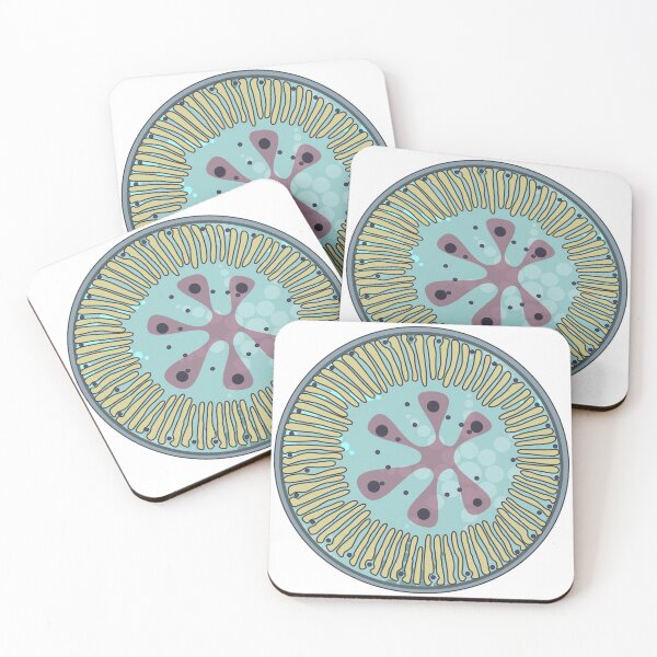 Item preview, Diatom - Lindavia ocellata (artwork) designed and sold by DiatomsATTACK.