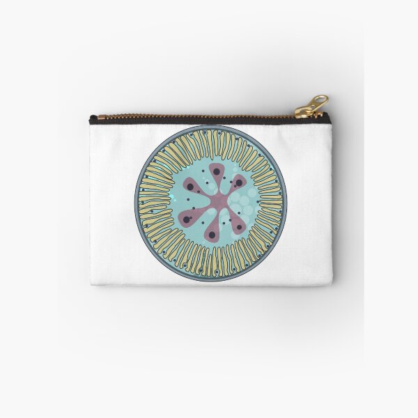 Item preview, Diatom - Lindavia ocellata (artwork) designed and sold by DiatomsATTACK.