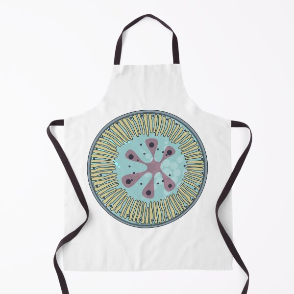 Item preview, Diatom - Lindavia ocellata (artwork) designed and sold by DiatomsATTACK.