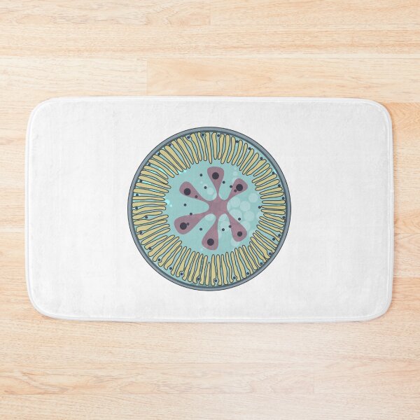 Item preview, Diatom - Lindavia ocellata (artwork) designed and sold by DiatomsATTACK.