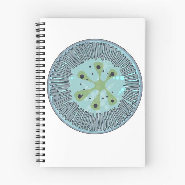 Item preview, Diatom - Lindavia ocellata (green, artwork) designed and sold by DiatomsATTACK.