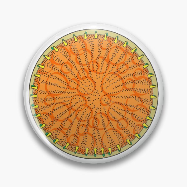 Item preview, Diatom - Stephanodiscus coruscus (artwork) designed and sold by DiatomsATTACK.