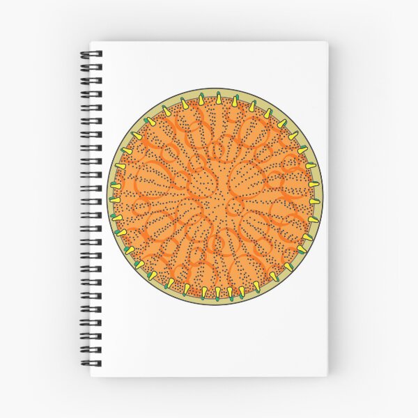 Item preview, Diatom - Stephanodiscus coruscus (artwork) designed and sold by DiatomsATTACK.