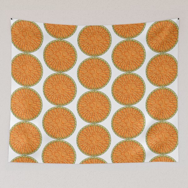 Item preview, Diatom - Stephanodiscus coruscus (artwork) designed and sold by DiatomsATTACK.