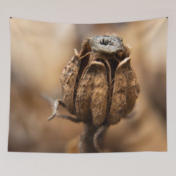Item preview, Decayed Flower designed and sold by claireture.