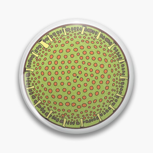 Item preview, Diatom - Thalassiosira (color, artwork) designed and sold by DiatomsATTACK.