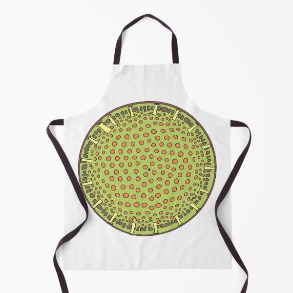 Item preview, Diatom - Thalassiosira (color, artwork) designed and sold by DiatomsATTACK.