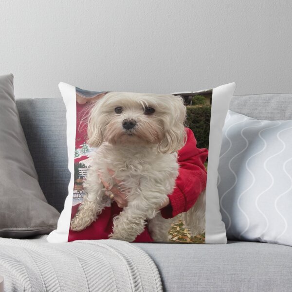 Item preview, Maltese (Color) designed and sold by TM Art.