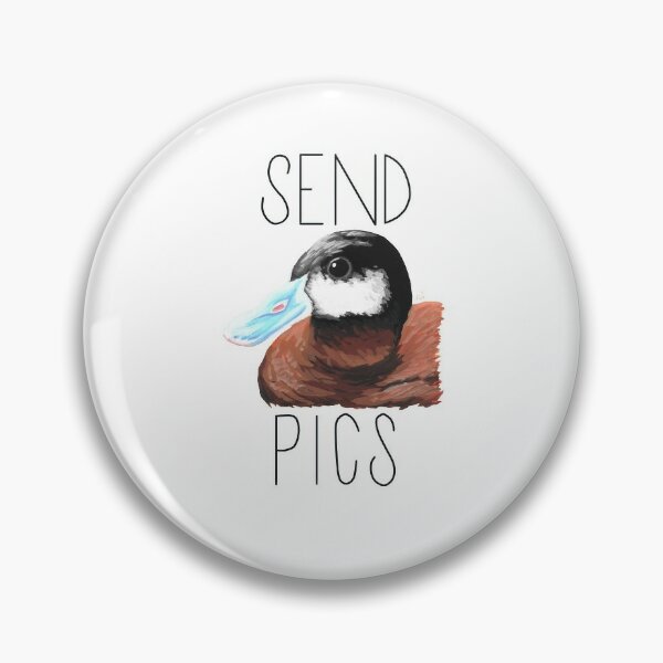Wild Ruddy Duck Pins and Buttons for Sale