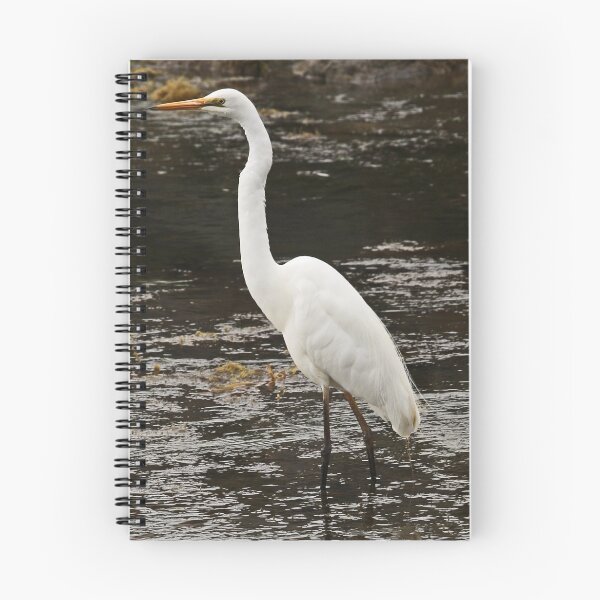 Item preview, White Ibis designed and sold by hurky.