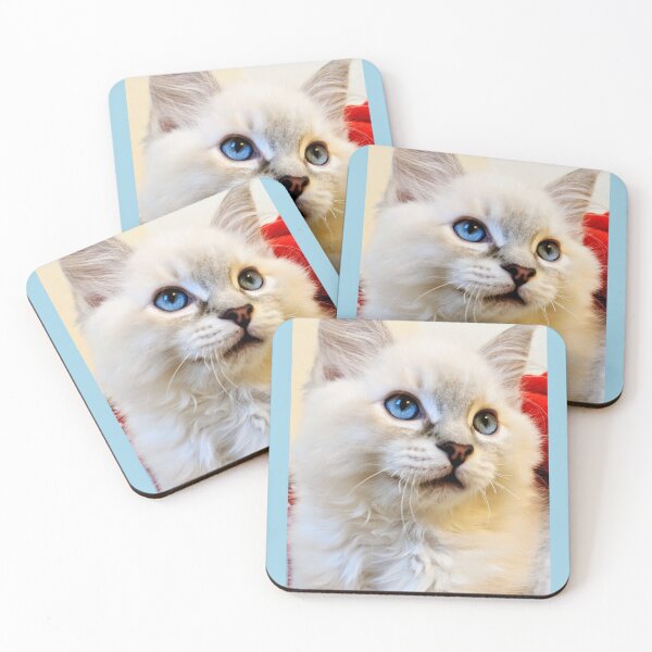 Item preview, Ragdoll kitten designed and sold by Fluffycat2020.