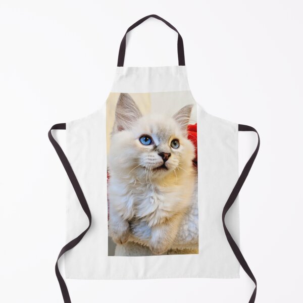 Item preview, Ragdoll kitten designed and sold by Fluffycat2020.