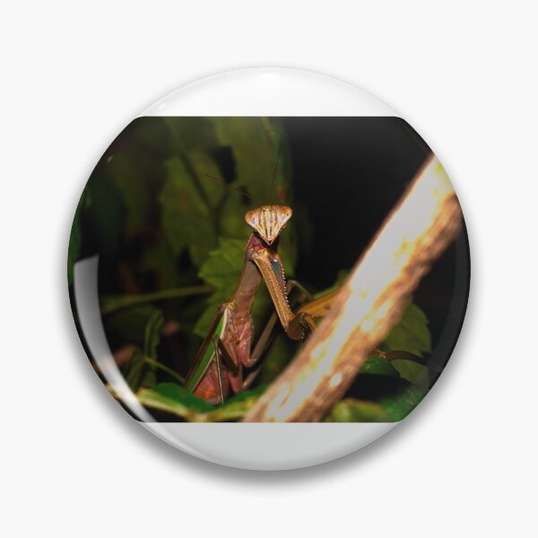 Item preview, Green Chinese Mantis Macro closeup leaves 1 designed and sold by Frank Soos.