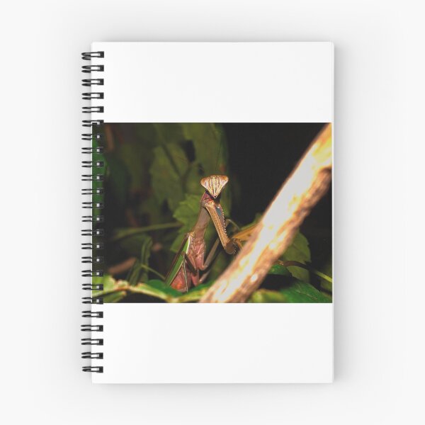 Item preview, Green Chinese Mantis Macro closeup leaves 1 designed and sold by Frank Soos.