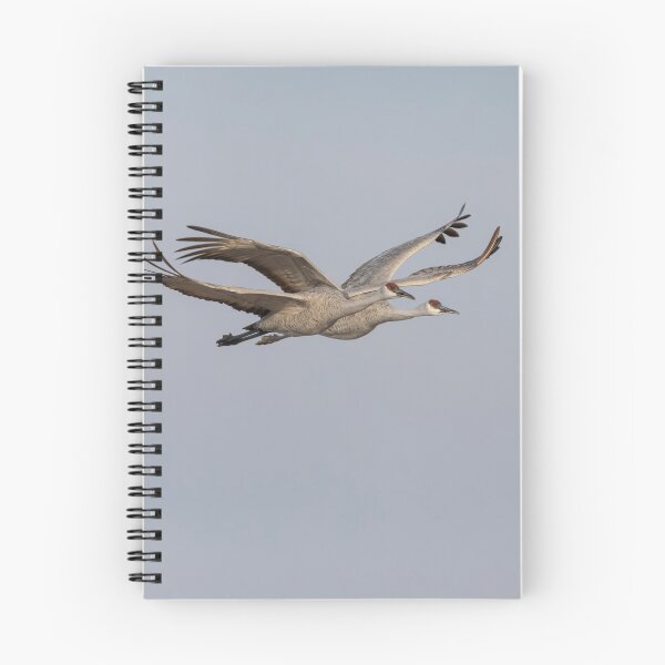 Item preview, Sandhill Cranes In Flight 2020-3 designed and sold by Thomasyoung.