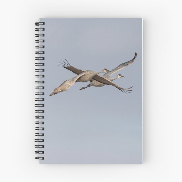 Item preview, Sandhill Cranes In Flight 2020-4 designed and sold by Thomasyoung.