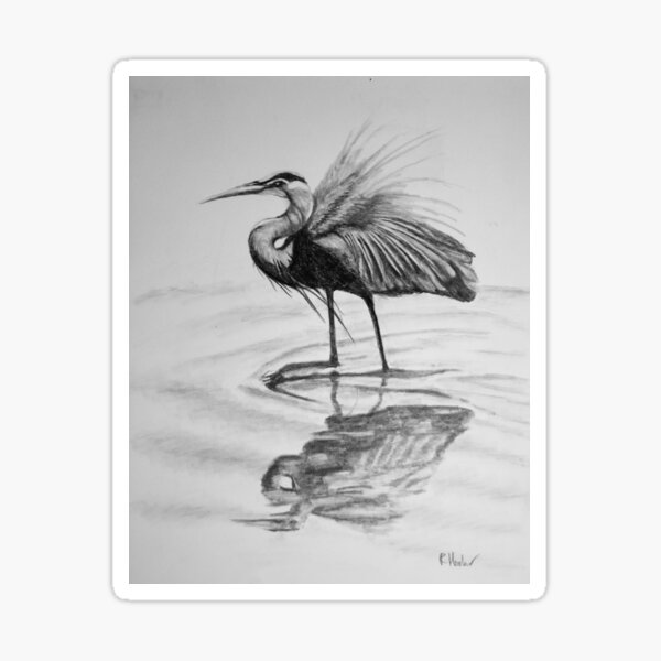 "Great Blue Heron" Sticker for Sale by RHookerart Redbubble