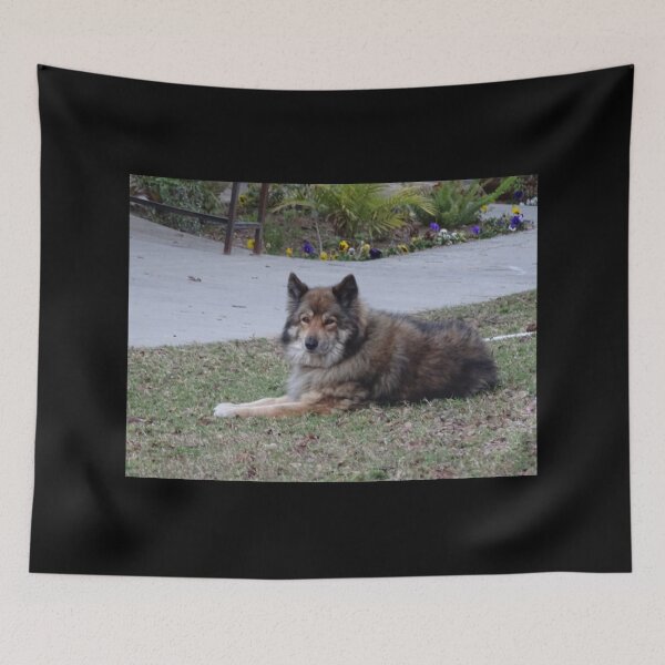 Item preview, Dog, Dogs, Dog mask, Dog socks, Dog puzzle, Dog apron, Dog  designed and sold by PicsByMi.