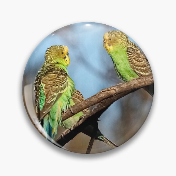 Item preview, Wild and Free ~ Budgerigars designed and sold by Robert Elliott.
