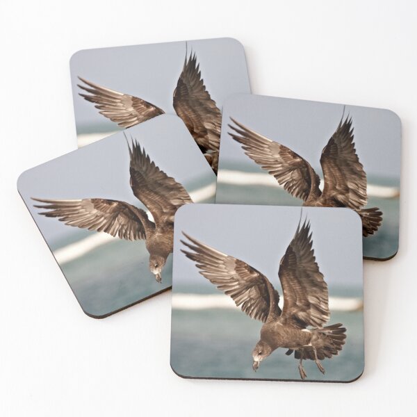 Item preview, Come fly with me ~ Immature Pacific Gull designed and sold by Robert Elliott.