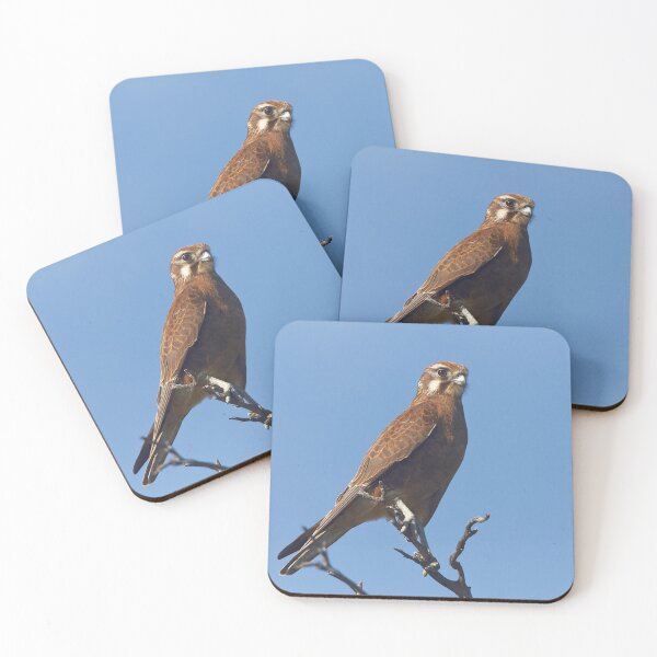 Item preview, Brown Falcon designed and sold by Robert Elliott.