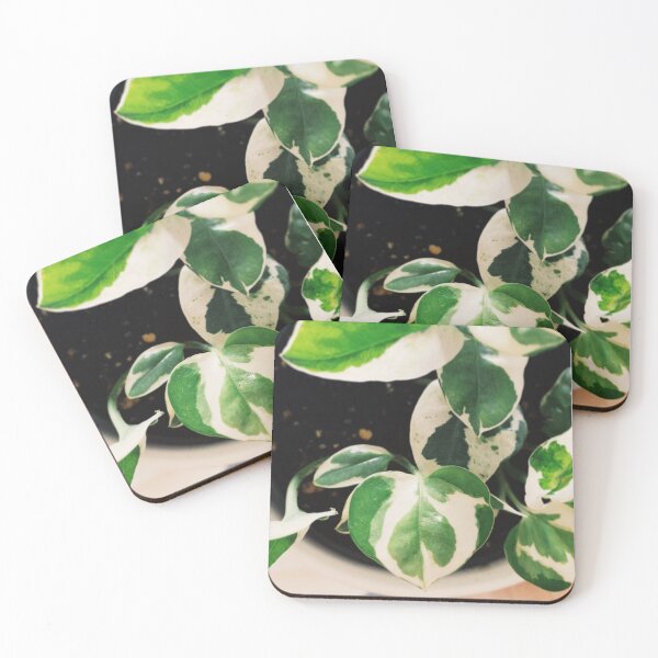 Item preview, N'Joy Pothos designed and sold by grdnstplantmom.