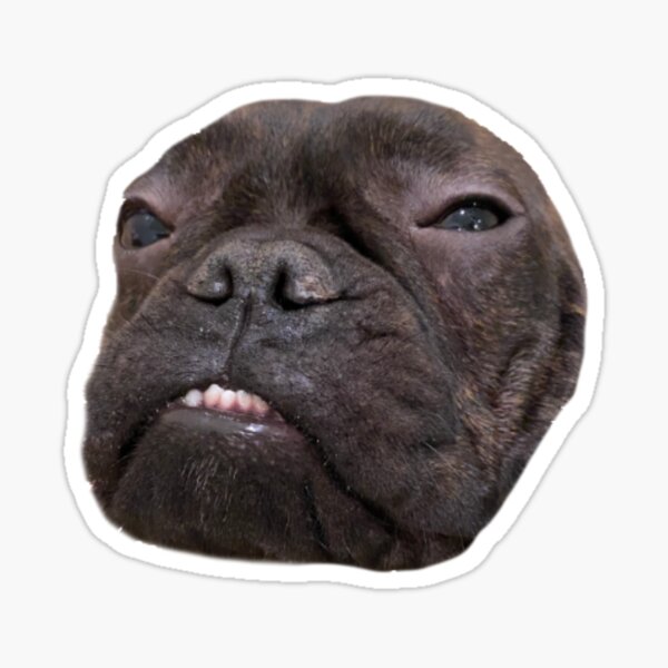 Messed Up Lucius Sticker