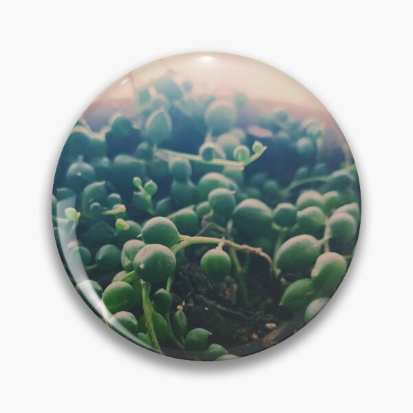 Item preview, String of Pearls designed and sold by grdnstplantmom.
