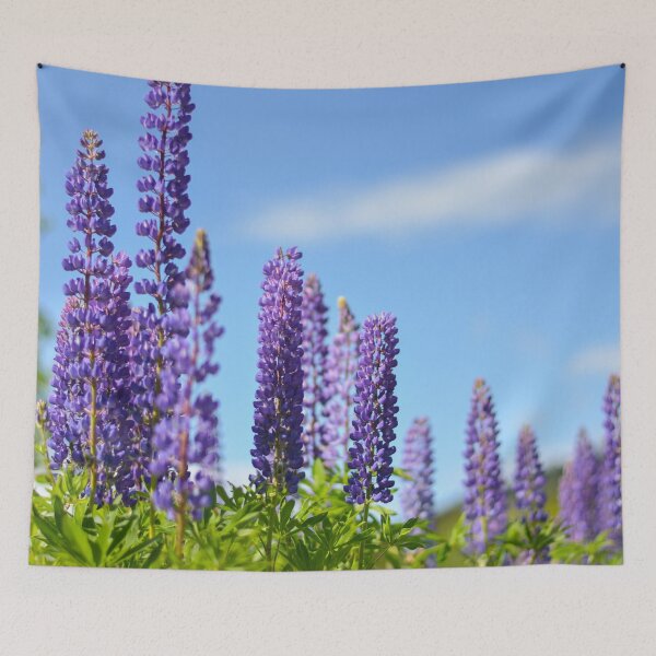 Item preview, Lupines in the White Mountains designed and sold by emmarsheehan.