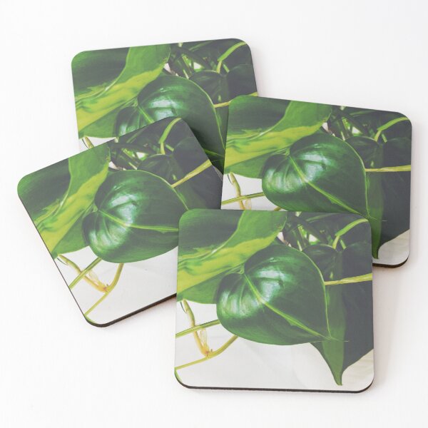 Item preview, Philodendron Brasil designed and sold by grdnstplantmom.