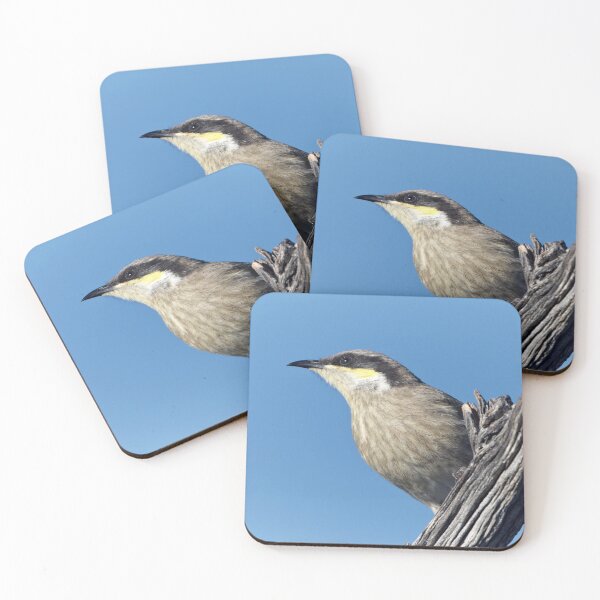 Item preview, Singing Honeyeater designed and sold by Robert Elliott.
