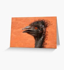 emu coiffure Greeting Card