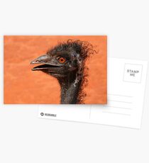emu coiffure Postcards