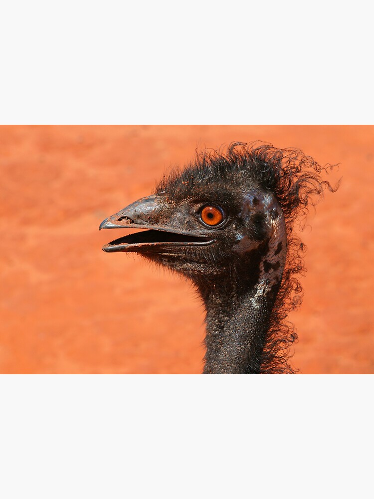emu coiffure by rogersmith