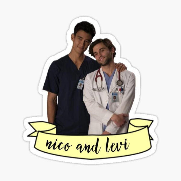 Nico x Levi | Grey's Anatomy