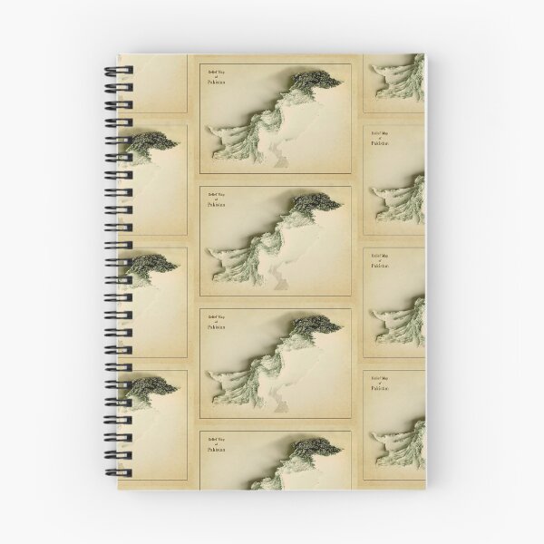 Item preview, Old Pakistan Relief Map 3D digitally-rendered designed and sold by ThinkAboutMaps.