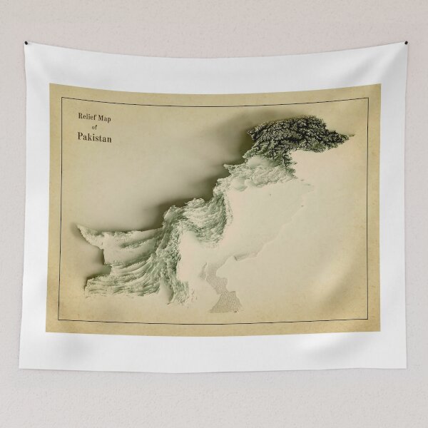 Item preview, Old Pakistan Relief Map 3D digitally-rendered designed and sold by ThinkAboutMaps.