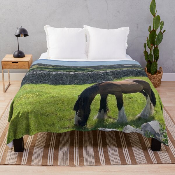 Item preview, Horse Inis Oirr, Ireland designed and sold by Ollie P. Leo.