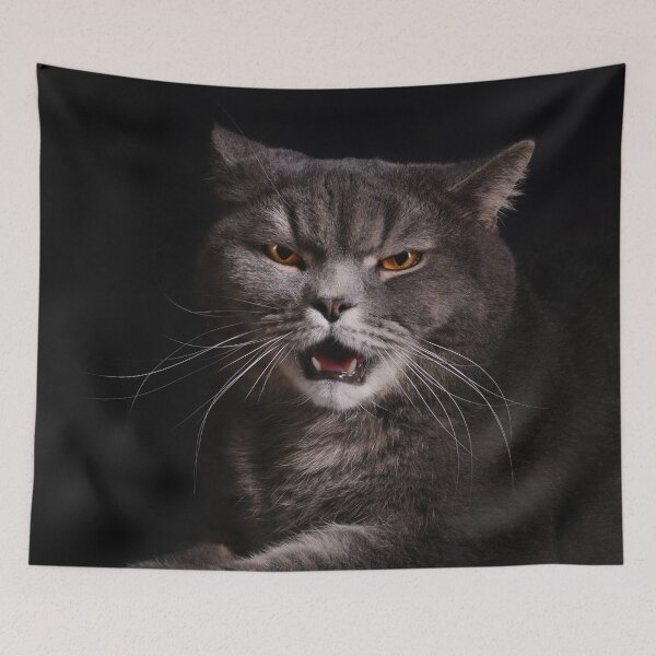 Item preview, Angry Cat - Gray designed and sold by angus77ok.