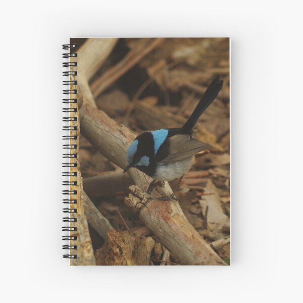 Item preview, Superb Fairy Wren designed and sold by Paul Chubb.