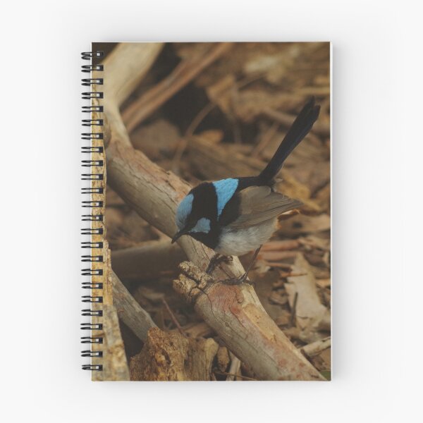 Item preview, Superb Fairy Wren designed and sold by Paul Chubb.