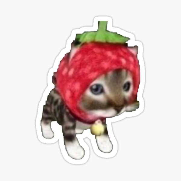 chat fraise Sticker